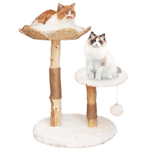Duneasypet Katzenbaum aus Holz, moderner Katzenkratzbaum für Indoor-Katzen mit Sitzstange und Plattform, 71.1 cm Katzenturm, Klettermöbel, kleine Katzen, Geschenk für Katzenliebhaber von Duneasypet