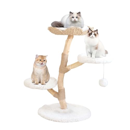 Duneasypet Moderner Katzenbaum, Naturholz, Katzenkletterturm für Indoor-Katzen, mehrstufige 91,4 cm hohe Katzenmöbel mit Sprungplattform, weicher Plüsch-Kratzbaum für mehrere Katzen, Geschenk für von Duneasypet