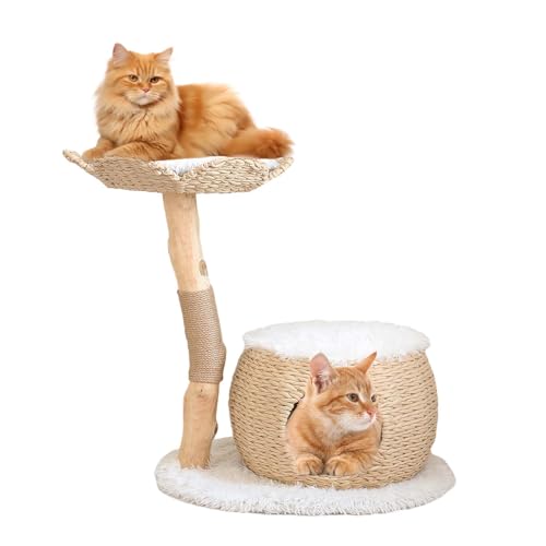 Duneasypet Moderner Katzenbaum aus natürlichem Holz für Indoor-Katzen mit einer Sitzstange, 70 cm Katzenturm, Klettermöbel, kleine Katzen, Geschenk für Katzenliebhaber von Duneasypet