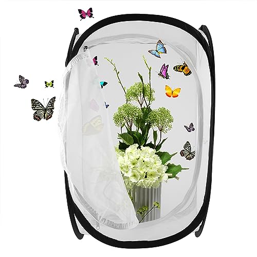 Insektenkäfig Babykäfig, Insekt und Schmetterling Lebensraum Käfig Robuster Tragbarer und Belüfteter Garten Groß Zusammenklappbar Insekt Monarch Schmetterling Netzkäfig Insektenkäfig Babykäfig, Insekt und Schmetterling Lebensraum Käfig Robuster Tragbarer und Belüfteter Garten Groß Zusammenklappbar Insekt Monarch Schmetterling Netzkäfig von Duokon
