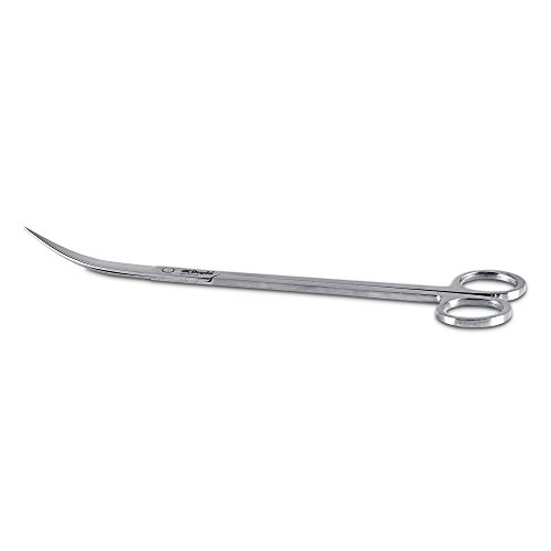 DUPLA Scaping Tool Edelstahlschere I Gebogen 30 Grad I Hochwertiges Edelstahl I 270 x 4 mm von Dupla
