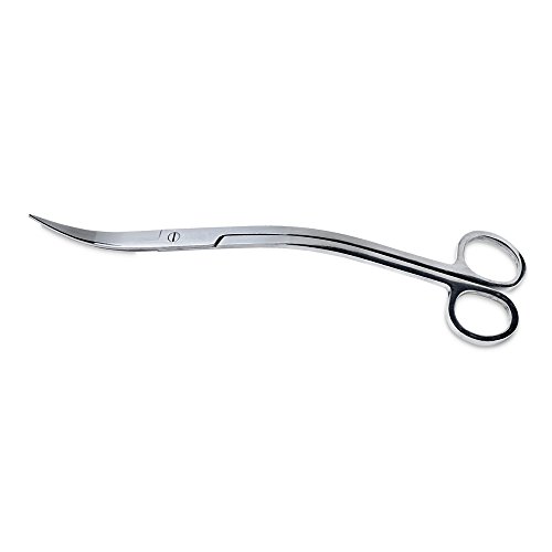 Dupla 80020 Scaping Tool Edelstahlschere, Gebogen, 235 x 4 mm Dupla 80020 Scaping Tool Edelstahlschere, Gebogen, 235 x 4 mm von Dupla