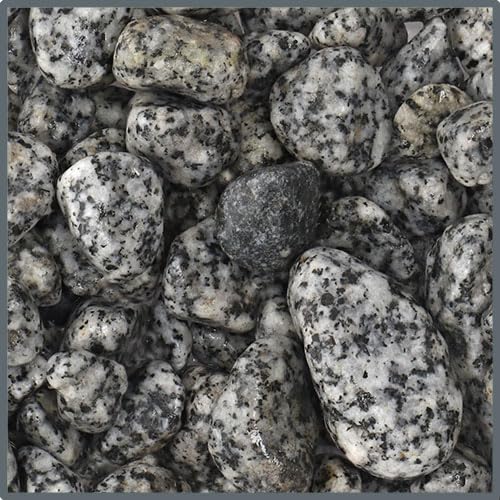 Dupla Ground Nature Dalmatiner Stone, 10 kg, 10-25 mm Dupla Ground Nature Dalmatiner Stone, 10 kg, 10-25 mm von Dupla