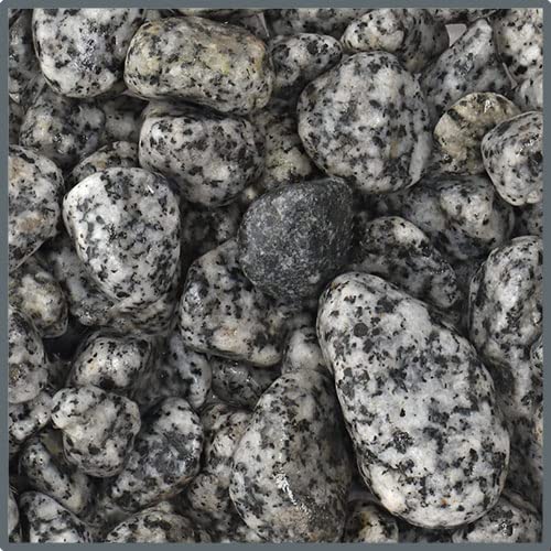 Dupla Ground Nature Dalmatiner Stone 10-25 mm, 5 kg von Dupla