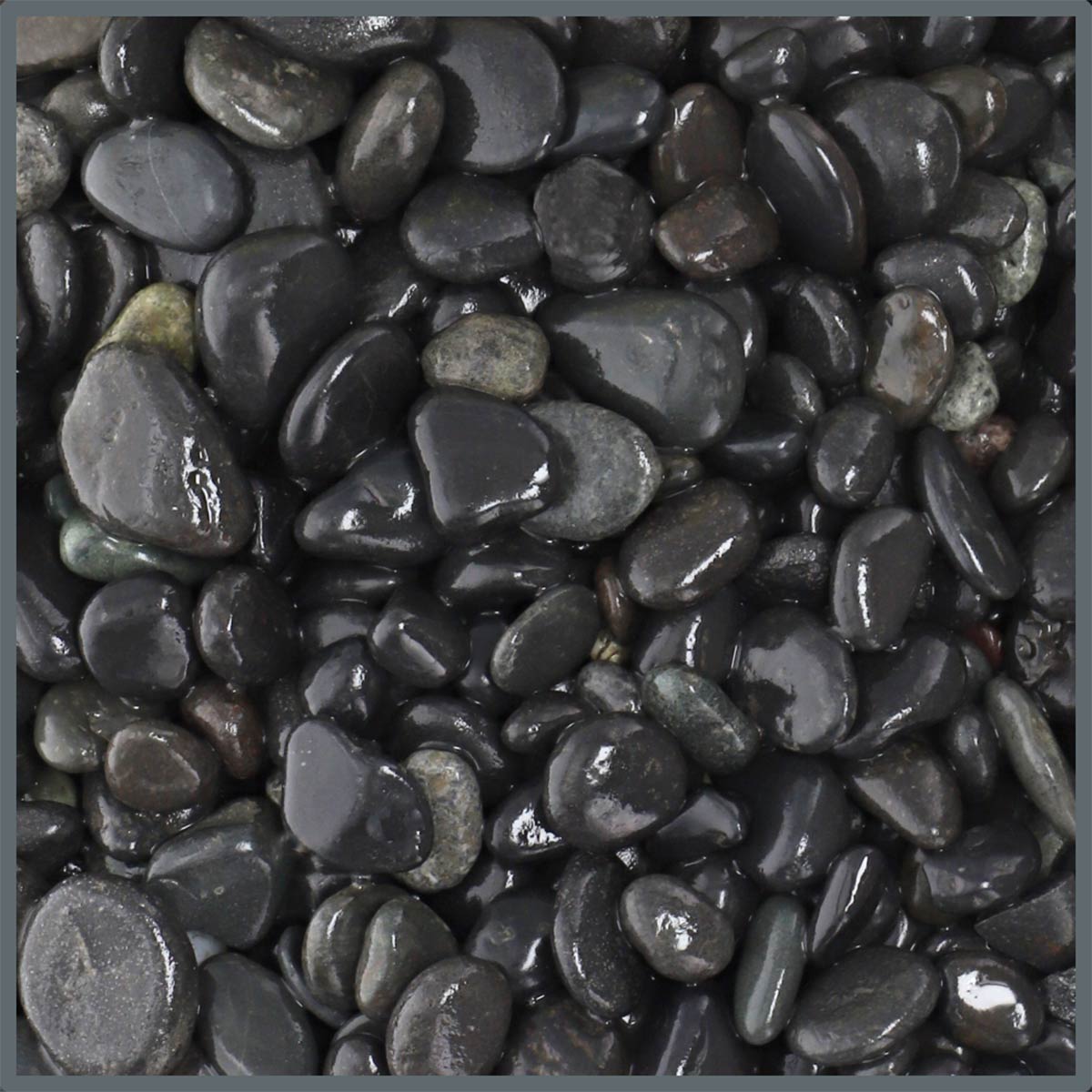 Dupla Ground nature Black Pebbles 8-16mm, 5kg Dupla Ground nature Black Pebbles 8-16mm, 5kg von Dupla