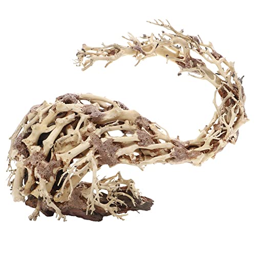 Dupla Wizard Root M von Dupla