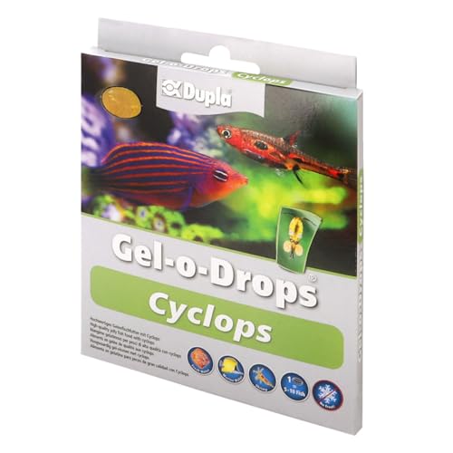 Dupla Zierfischfutter Gel-o-Drops Cyclops - 12x 2 g - die Hüpferlinge haben einen hohen Nährwert als Fischfutter von Dupla