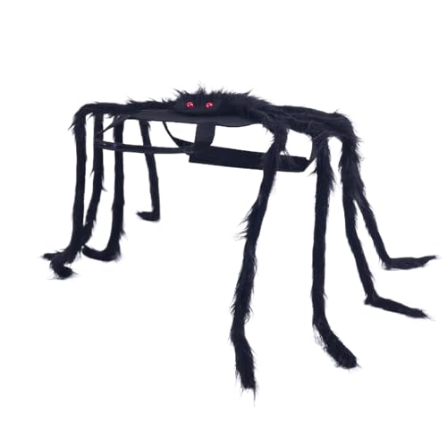 Duqulle Hund Spinne Kostüm - Spinnenkostüm Welpen Für Halloween - Spuk Fest Kleidung Haustier Zubehör Für Welpe Feier Fotosession Umzug Party von Duqulle