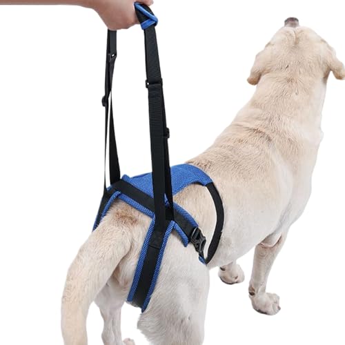 Duqulle Hundehubgurt,Tierhilfe Für Hüfte Und Hinterbeine - Einstellbare Gehhilfe für stehende und gehende Hunde oder Toilettengang bei Seniorenhunden und Hunden mit von Duqulle