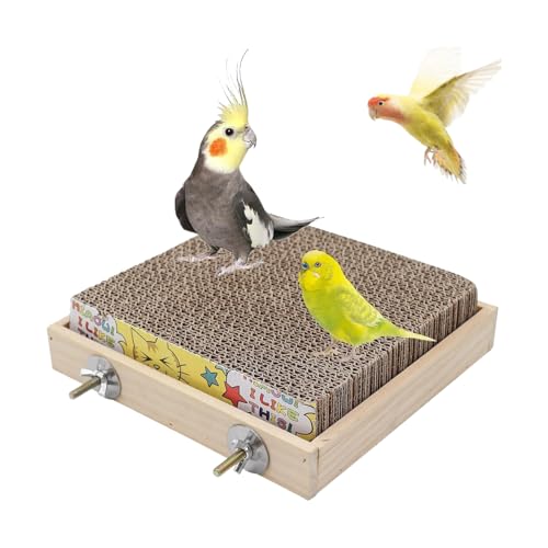 Duqulle Vogelkäfig Sitzstange,Pappspielplatz | Spiel Sitzplatz Für Voliere Finken Nymphensittiche Aras Wellensittiche Käfig Vögel Knabbern Duqulle Vogelkäfig Sitzstange,Pappspielplatz | Spiel Sitzplatz Für Voliere Finken Nymphensittiche Aras Wellensittiche Käfig Vögel Knabbern von Duqulle