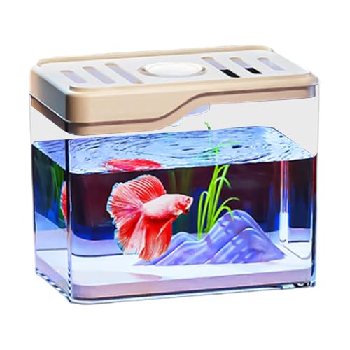 Duroecsain Betta Fischtank, Desktop -Fischtank - Leichter Stabiler Fischtank - Zimmerdekorschale mit farbenfrohen LED -Leuchten für Häuser oder Büros von Duroecsain