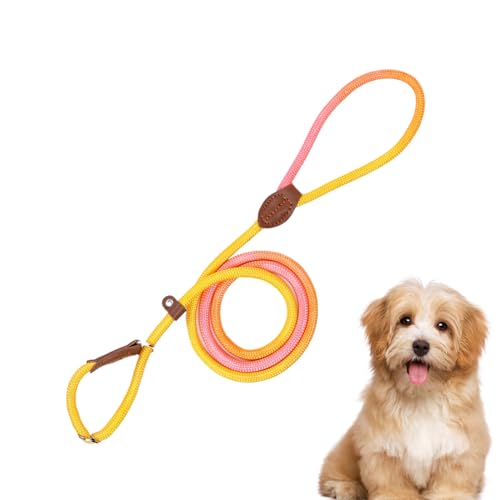 Duroecsain Gurte für Hunde, Tierband | Verstellbarer Welpengurt Nylon Seil - Fluchtsicheres Anti-Rutsch-Tierzubehör im Freien im Freien für kleine mittelgroße große Hunde von Duroecsain