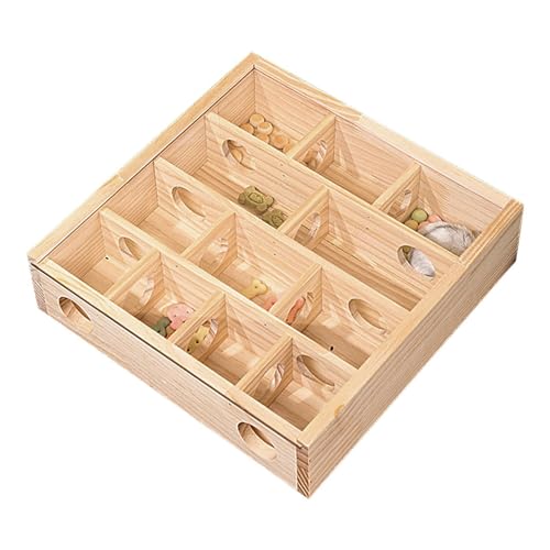 Duroecsain Hamster-Labyrinth-Spielzeug, Rennmaus-Hamster-Labyrinth-Spielzeug,Hamster Spielzeug Rennmaus Labyrinth - Maus aus, lustiges Spielzeug, kleine Haustiertiere mit transparenter von Duroecsain