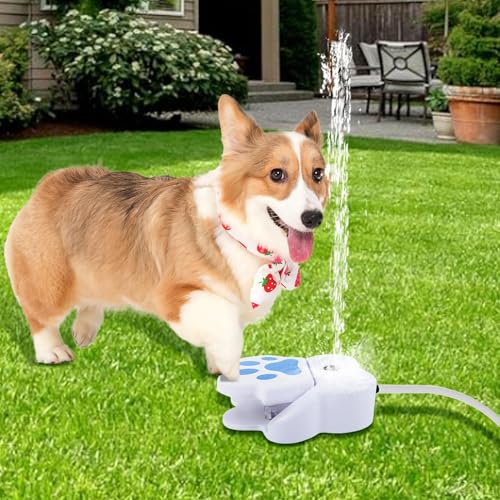 Duroecsain Haustiertrinkbrunnen, Gartenspielzeug Für Welpen Mit Wasserspender, Pfotengesteuert Trittaktiviert Für Garten Duroecsain Haustiertrinkbrunnen, Gartenspielzeug Für Welpen Mit Wasserspender, Pfotengesteuert Trittaktiviert Für Garten von Duroecsain