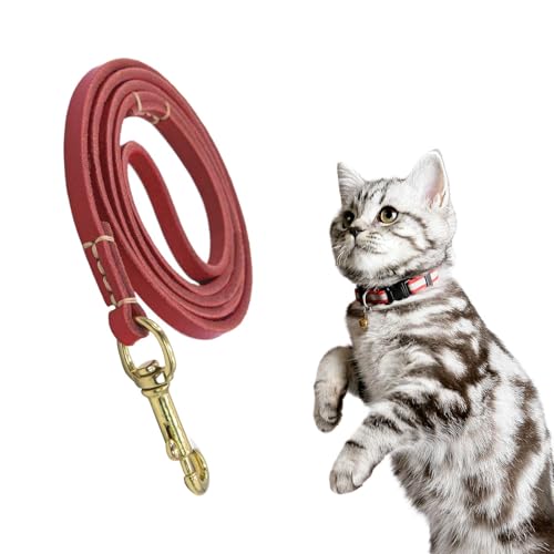 Duroecsain Hundelaufseil, Traktionseil für großen Hund, Seil für mittlere Hunde, Hunde Sicherheitsgürtelauto mit ergonomischem Design für das Wandertraining für mittelgroßes Tier Duroecsain Hundelaufseil, Traktionseil für großen Hund, Seil für mittlere Hunde, Hunde Sicherheitsgürtelauto mit ergonomischem Design für das Wandertraining für mittelgroßes Tier von Duroecsain