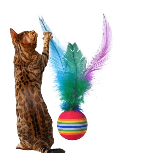 Duroecsain Katzenfederkugelspielzeug, Feder Bouncy Ball Cat Toy - Interaktives Bouncing Cat Toy,Haustier-Springkugel für Welpen Selbstverständlichkeit gesundes Gewicht Duroecsain Katzenfederkugelspielzeug, Feder Bouncy Ball Cat Toy - Interaktives Bouncing Cat Toy,Haustier-Springkugel für Welpen Selbstverständlichkeit gesundes Gewicht von Duroecsain