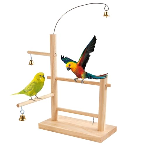 Duroecsain Spielständer für Tischvögel, Holzkäfig, Vögel, Sitzstange, Papagei, Spielzeug, Ständer mit Glocke – Zubehör für Haustiere aus Naturholz für Vogelspielplatz, Duroecsain Spielständer für Tischvögel, Holzkäfig, Vögel, Sitzstange, Papagei, Spielzeug, Ständer mit Glocke – Zubehör für Haustiere aus Naturholz für Vogelspielplatz, von Duroecsain