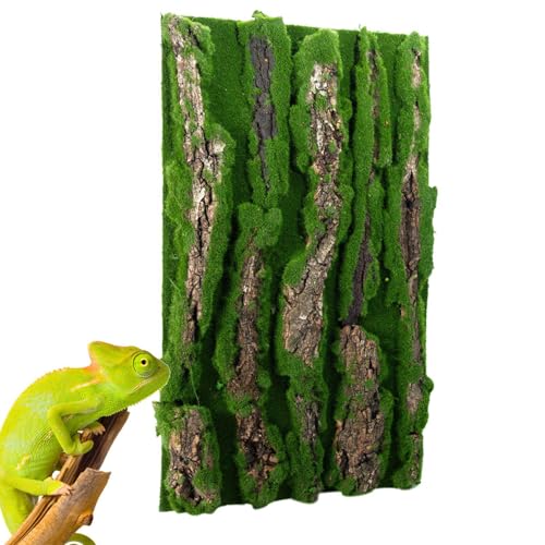 Duroecsain Terrarium-Hintergrund aus Kork für Reptilien, Lebensraum-Hintergrund, Tank-Dekoration, Wand-Dekoration aus Reptilien-Rinde für Barbudo-Drachen, Hintergrund von Duroecsain
