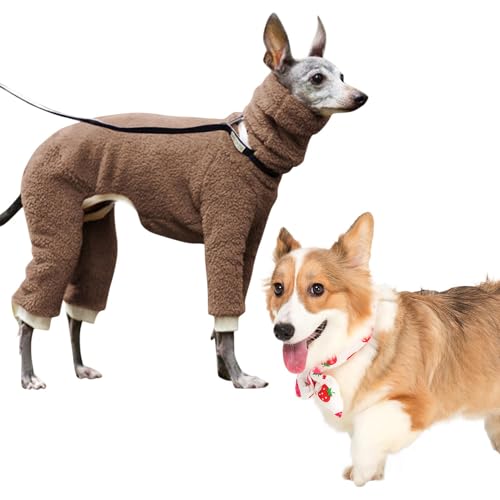Duroecsain Winterkleidung für Hunde – Winterjacke für Hunde, Rollkragen mit 4 Beinen, komplett bedeckt, einfarbig, für kleine, mittlere und große Hunde Duroecsain Winterkleidung für Hunde – Winterjacke für Hunde, Rollkragen mit 4 Beinen, komplett bedeckt, einfarbig, für kleine, mittlere und große Hunde von Duroecsain