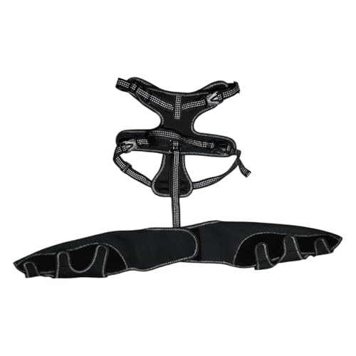 Hundebechklammer, Hunde Hüftklammer - PET orthopädische Hüfte Hock Support Brace,Einstellbare Beinstütze für die Warm und Stabiler Tierfugen von Duroecsain