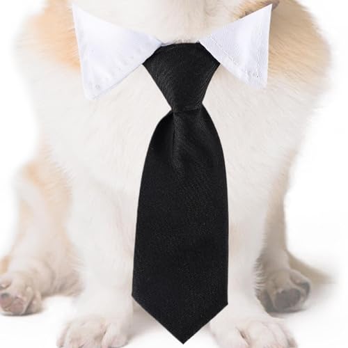 Hundehalsband mit Fliege,Hunde-Bandana-Halsband,Formelle Haustierhalsband-Fliege - Mehrzweck-Hundehalsband mit Fliege für Spaziergänge, Alltag, Partys, Hochzeit und Valentinstag Hundehalsband mit Fliege,Hunde-Bandana-Halsband,Formelle Haustierhalsband-Fliege - Mehrzweck-Hundehalsband mit Fliege für Spaziergänge, Alltag, Partys, Hochzeit und Valentinstag von Duroecsain