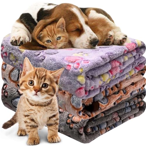 Duscdesp Katzendecke Hundedecke Flauschig Waschbar, 3 Stück Mittel Sofa Decke, Wiederverwendbare Haustierdecken Fleecedecken, Weiche Haustier Decken für Mittlere Hunde Katzen(76 * 52cm) von Duscdesp