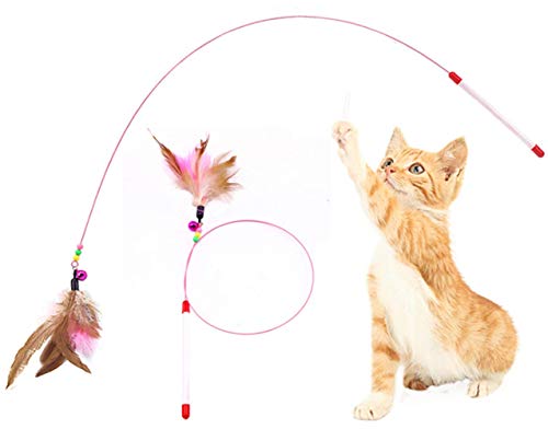 Dusenly Katzenspielzeug mit Federn, Glöckchen und Kordeln, interaktives Spielzeug für Katzen und Kätzchen, 2 Stück von Dusenly
