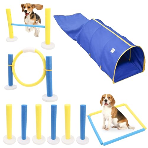 Duuclume Agility-Trainingsgerät-Set für Haustiere, mit stabilem Tunnel, interaktives Hindernisspringring für den Innenbereich von Duuclume