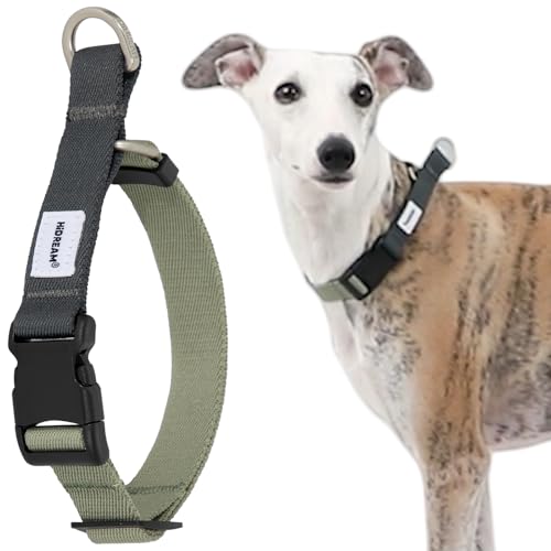 Duuclume Atmungsaktives Hundehalsband aus Nylon mit Schnalle, verstellbar, ausbruchsicher, Anti-Zug-Trainingshalsband für alle Hunde (Grau-Grün, L) von Duuclume