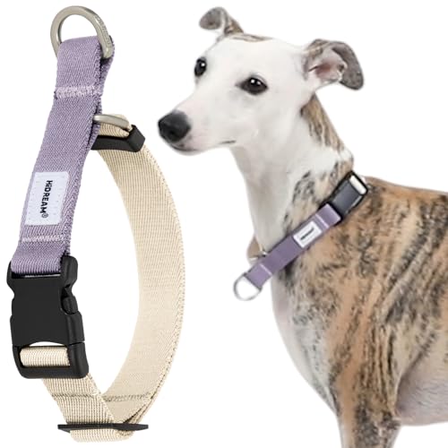 Duuclume Atmungsaktives Hundehalsband aus Nylon mit Schnalle, verstellbar, ausbruchsicher, Anti-Zug-Trainingshalsband für alle Hunde (Weiß-Lila, L) von Duuclume