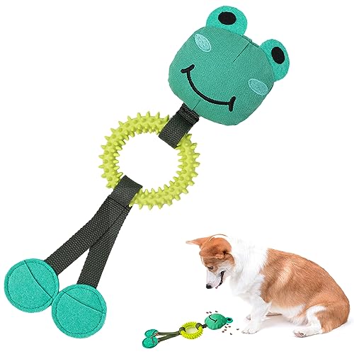 Duuclume Dog Frog Schnüffelspielzeug, langlebiges Quietschspielzeug, Tauziehen, interaktives Spielzeug zur Linderung von Langeweile und Stress│Versteck-Puzzle-Training, langsames Füttern, Reinigen und von Duuclume