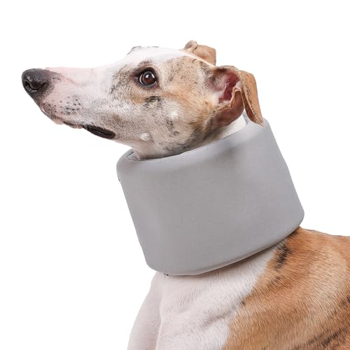 Duuclume Halsbandage, verstellbar, Haustier nach Operationen, Genesung, Halskegel, Anti-Bissunterstützung, Halswirbelstauchung, elisabethanisches Halsband für kleine, mittelgroße und große Hunde (Grau Duuclume Halsbandage, verstellbar, Haustier nach Operationen, Genesung, Halskegel, Anti-Bissunterstützung, Halswirbelstauchung, elisabethanisches Halsband für kleine, mittelgroße und große Hunde (Grau von Duuclume