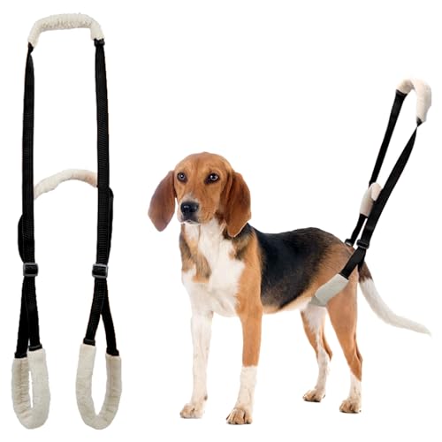 Duuclume Hunde Stützgeschirr für Rückenbeine, Hunde Hinterbeinstütze Hebehilfe mit Griff und Schultergurt, Welpe Hinterbein Rehabilitation Training Assistgürtel hilft bei schlechter Stabilität, von Duuclume
