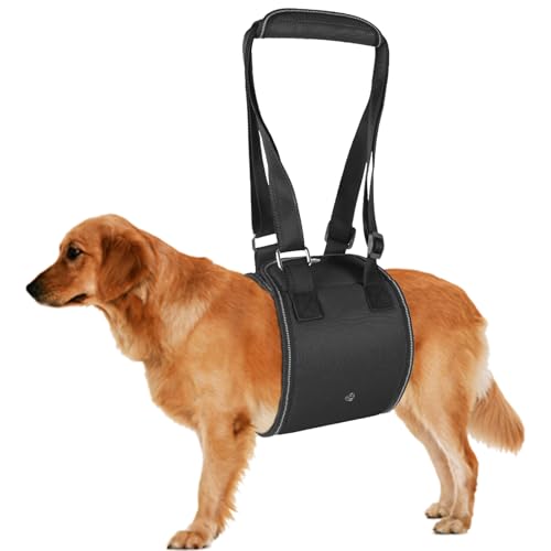 Duuclume Hundegeschirr, Hebegeschirr, Haustierschlinge für schwache Hinterbeine, verstellbar, atmungsaktiv, für Hebeunterstützung und Reha-Geschirr, hilft Senioren, Verletzten, Behinderten (Schwarz, Duuclume Hundegeschirr, Hebegeschirr, Haustierschlinge für schwache Hinterbeine, verstellbar, atmungsaktiv, für Hebeunterstützung und Reha-Geschirr, hilft Senioren, Verletzten, Behinderten (Schwarz, von Duuclume