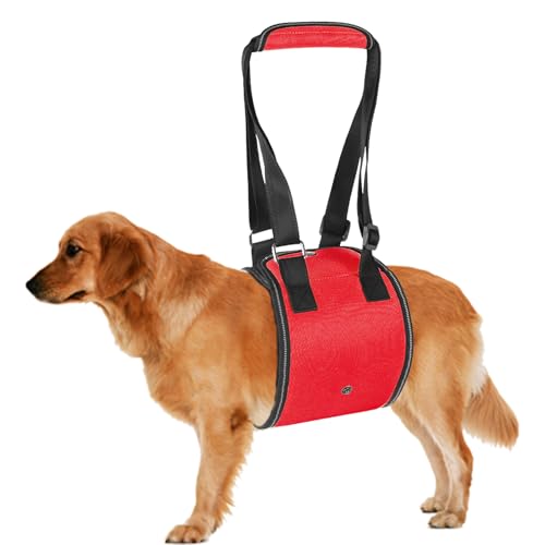 Duuclume Hundegeschirr, Hebegeschirr, Haustierschlinge für schwache Hinterbeine, verstellbar, atmungsaktiv, für Hunde, Hebeunterstützung und Reha-Geschirr, hilft Senioren, Verletzten, Behinderten Duuclume Hundegeschirr, Hebegeschirr, Haustierschlinge für schwache Hinterbeine, verstellbar, atmungsaktiv, für Hunde, Hebeunterstützung und Reha-Geschirr, hilft Senioren, Verletzten, Behinderten von Duuclume