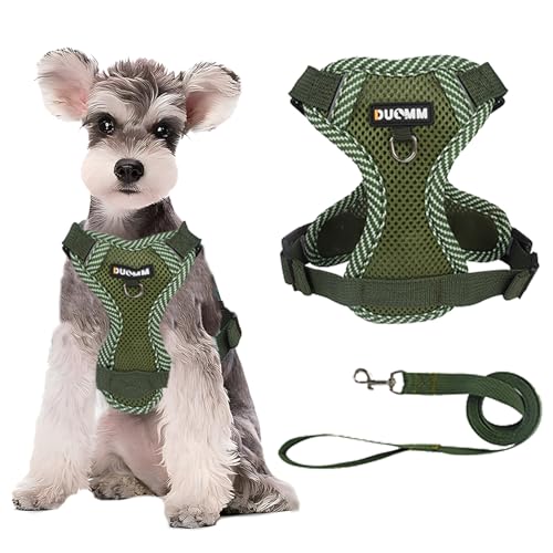 Duuclume Hundegeschirr, kein Ziehen, weiches Netz-Welpengeschirr mit Leine, reflektierend, atmungsaktiv, mit Sicherheitsschnalle, für Spaziergänge, Laufen, Training, Outdoor (Grün, M) von Duuclume