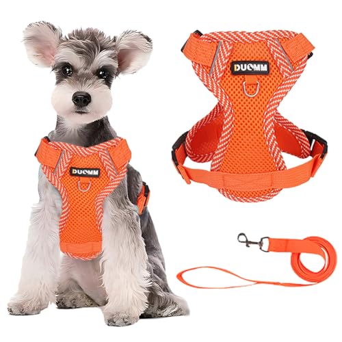 Duuclume Hundegeschirr, kein Ziehen, weiches Netz-Welpengeschirr mit Leine, reflektierend, atmungsaktiv, mit Sicherheitsschnalle, für Spaziergänge, Laufen, Training, Outdoor (Orange, S) von Duuclume