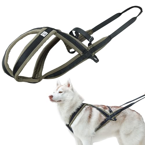 Duuclume Hundegeschirr für Brust, Schlitten, verstellbare Haustierweste, Brust und Rücken, strapazierfähiges Hundegeschirr, dickes Nylon und gepolstert, kein Ziehen, für Training und Alltag, Größe M Duuclume Hundegeschirr für Brust, Schlitten, verstellbare Haustierweste, Brust und Rücken, strapazierfähiges Hundegeschirr, dickes Nylon und gepolstert, kein Ziehen, für Training und Alltag, Größe M von Duuclume