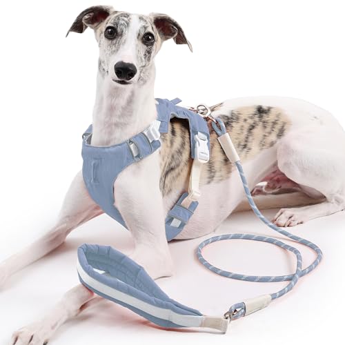 Duuclume Hundegeschirr und Leine, kein Ziehen, verstellbare Haustierweste, Geschirr mit reflektierenden Streifen, ausbruchsicher, für kleine, mittelgroße und große Hunde, Blau, Größe S von Duuclume