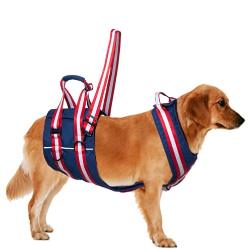 Duuclume Hundegeschirr zum Heben, Ganzkörper-Hundegeschirr zur Unterstützung der Hinterbeine, mit Griff und Schulterschlinge, verstellbares Hundeschlinge für ältere Hunde, Gelenkverletzungen, Duuclume Hundegeschirr zum Heben, Ganzkörper-Hundegeschirr zur Unterstützung der Hinterbeine, mit Griff und Schulterschlinge, verstellbares Hundeschlinge für ältere Hunde, Gelenkverletzungen, von Duuclume