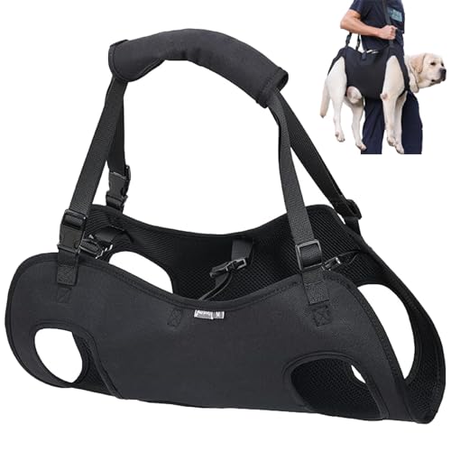 Duuclume Hundegeschirr zum Heben, Notfall-Rucksack, Haustierbeinstützung und Rehabilitation, verstellbare Hebegurte, Hundetrage für ältere ältere Hunde, Gelenkverletzungen, Arthritis, Größe S Duuclume Hundegeschirr zum Heben, Notfall-Rucksack, Haustierbeinstützung und Rehabilitation, verstellbare Hebegurte, Hundetrage für ältere ältere Hunde, Gelenkverletzungen, Arthritis, Größe S von Duuclume