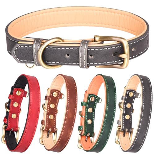 Duuclume Hundehalsband, Leder, weich gepolstert, doppeltes Leder, klassisches Haustierhalsband mit verstellbarer, rostfreier Metallschnalle (L Grau) von Duuclume