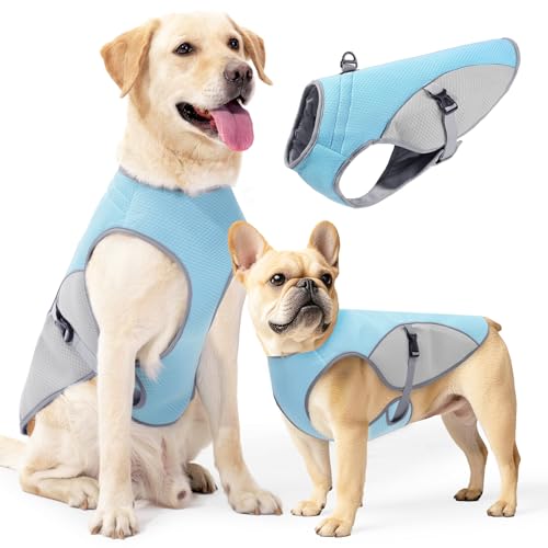 Duuclume Hundekühlweste, leichte Jacke mit 3-lagiger Kühltechnologie, atmungsaktiver Netzmantel mit verstellbaren Trägern und reflektierenden Streifen für kleine bis große Hunde (Blau Grau, XXXL) Duuclume Hundekühlweste, leichte Jacke mit 3-lagiger Kühltechnologie, atmungsaktiver Netzmantel mit verstellbaren Trägern und reflektierenden Streifen für kleine bis große Hunde (Blau Grau, XXXL) von Duuclume