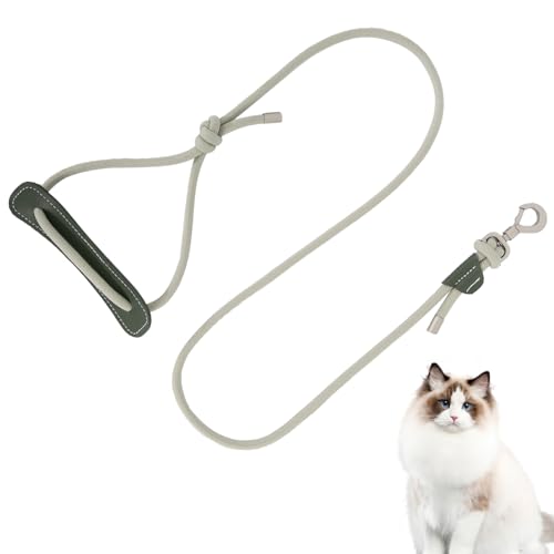 Duuclume Hundeleine, 120 cm, strapazierfähiges Nylon, starkes Seil, Haustierleine mit bequemem, gepolstertem Ledergriff und Metallclip zum Spazierengehen, Grün Duuclume Hundeleine, 120 cm, strapazierfähiges Nylon, starkes Seil, Haustierleine mit bequemem, gepolstertem Ledergriff und Metallclip zum Spazierengehen, Grün von Duuclume