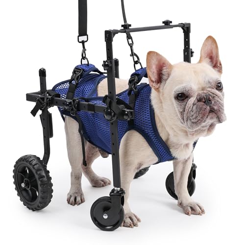 Duuclume Hunderollstuhl mit 4 Rädern für behinderte und ältere Hunde, verstellbare Mobilitätshilfe für Haustiere mit Griff, Rollstuhlwagen für Rücken-/Vorderbeine, Rehabilitation (S) von Duuclume