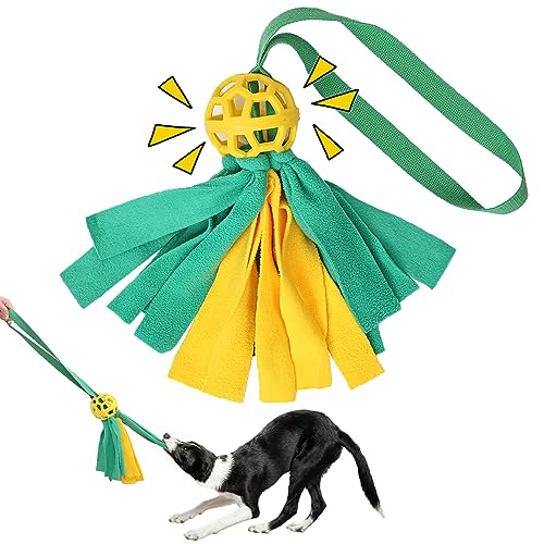 Duuclume Hundespielzeug mit Ball ausgestattet mit Glocke, Kauspielzeug aus Seil, robust und langlebig, interaktives Spielzeug für Training und Aktivität für alle Arten von Haustieren (ROPEnspielzeug) von Duuclume