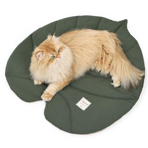 Duuclume Katzenmatte-Bett, wasserdichte doppelseitige blattförmige Isomatte, Ganzjahres-Kissen für Haustiere mit Baumwollstoff, 65 x 70 cm, für Katzen und kleine Hunde, maschinenwaschbar (Grün Weiß) Duuclume Katzenmatte-Bett, wasserdichte doppelseitige blattförmige Isomatte, Ganzjahres-Kissen für Haustiere mit Baumwollstoff, 65 x 70 cm, für Katzen und kleine Hunde, maschinenwaschbar (Grün Weiß) von Duuclume