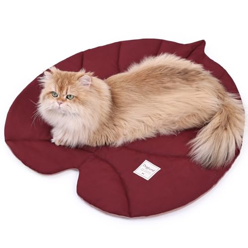 Duuclume Katzenmatte-Bett, wasserdichte doppelseitige blattförmige Isomatte, Ganzjahres-Kissen für Haustiere mit Baumwollstoff, 65 x 70 cm, für Katzen und kleine Hunde, maschinenwaschbar (Rot Rosa) Duuclume Katzenmatte-Bett, wasserdichte doppelseitige blattförmige Isomatte, Ganzjahres-Kissen für Haustiere mit Baumwollstoff, 65 x 70 cm, für Katzen und kleine Hunde, maschinenwaschbar (Rot Rosa) von Duuclume