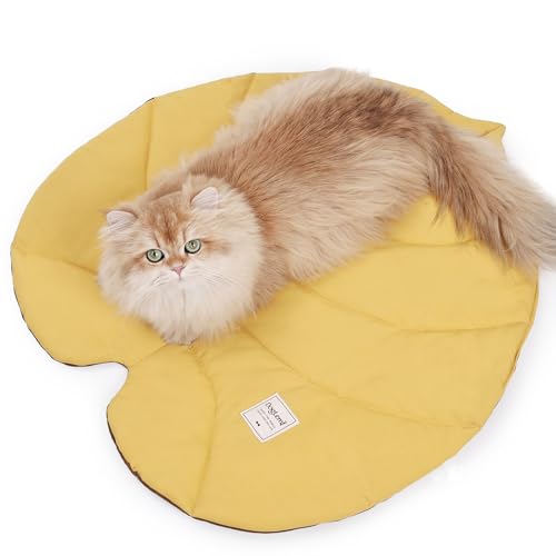 Duuclume Katzenmatte-Bett, wasserdichte doppelseitige blattförmige Isomatte, Ganzjahres-Kissen für Haustiere mit Baumwollstoff, 65 x 70 cm, für Katzen und kleine Hunde, maschinenwaschbar (Gelbbraun) Duuclume Katzenmatte-Bett, wasserdichte doppelseitige blattförmige Isomatte, Ganzjahres-Kissen für Haustiere mit Baumwollstoff, 65 x 70 cm, für Katzen und kleine Hunde, maschinenwaschbar (Gelbbraun) von Duuclume