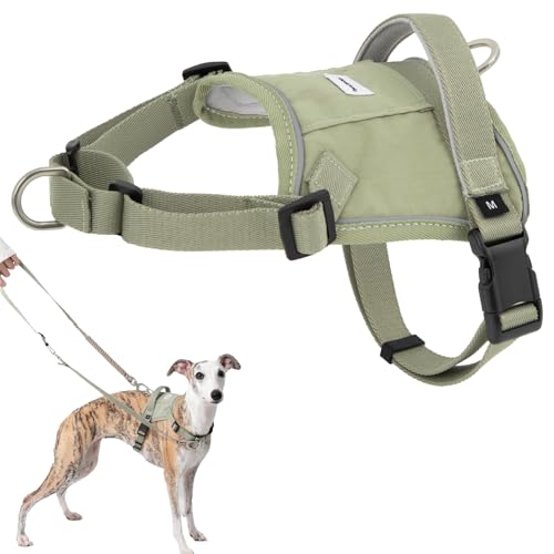 Duuclume Leichtes Front-Kontrollgeschirr – Anti-Zieh-Hundegeschirr und Leine, reflektierend, taktische Sicherheitsgurte für kleine, mittelgroße und große Hunde, Grün, Größe M Duuclume Leichtes Front-Kontrollgeschirr – Anti-Zieh-Hundegeschirr und Leine, reflektierend, taktische Sicherheitsgurte für kleine, mittelgroße und große Hunde, Grün, Größe M von Duuclume